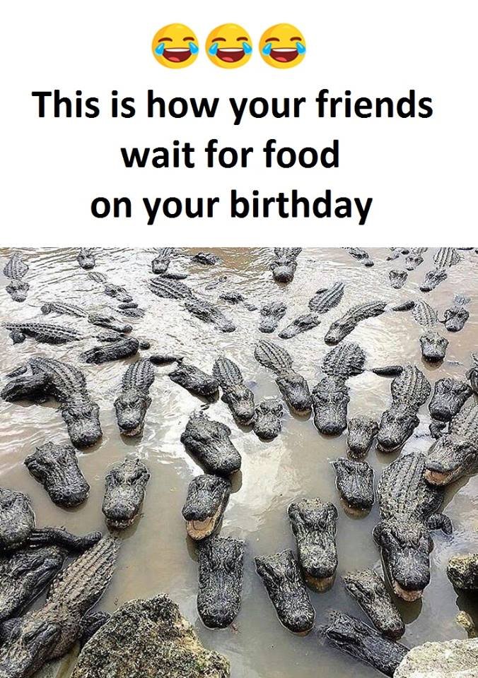 This is how your friends wait for food on your birthday