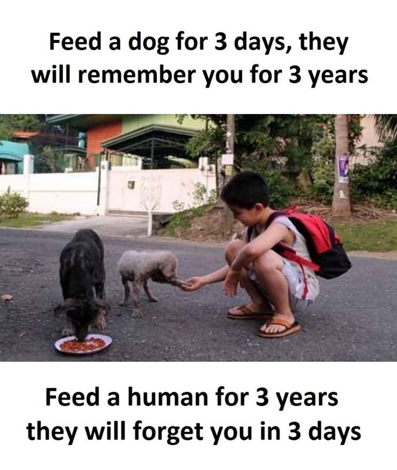 Feed a dog for 3 days, they will remember you for 3 years feed a human for 3 yea