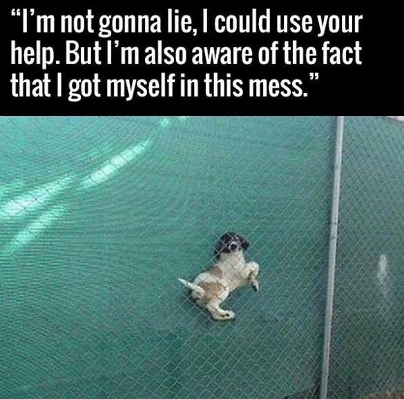 Tm notgonna lie, could useyour help . butm also aware of the fact that got mysel