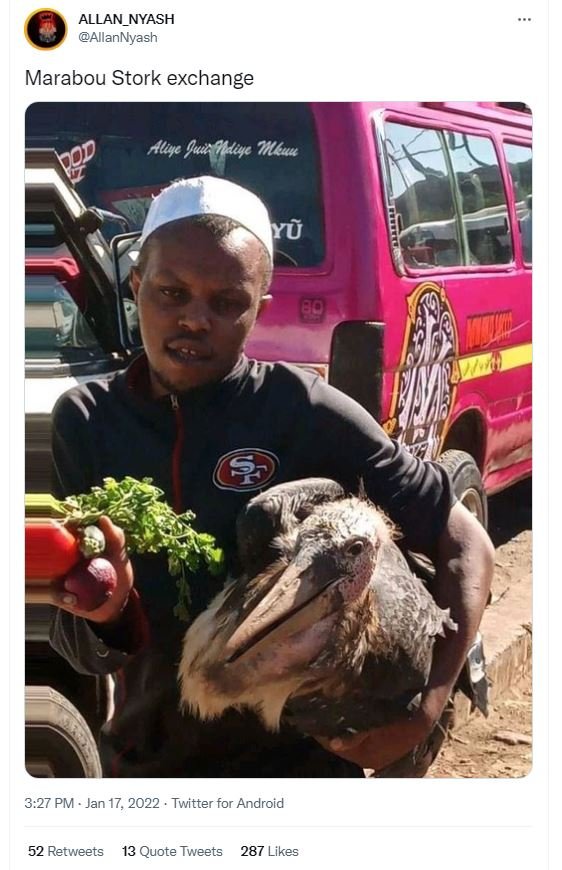 ALLAN_I NYASH AllanNyash Marabou Stork exchange Aluiqe Juil fliqe 'Hillkeuu Yx 3