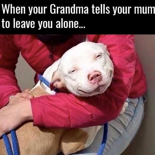 When your grandma tells your mum to leave you alone.
