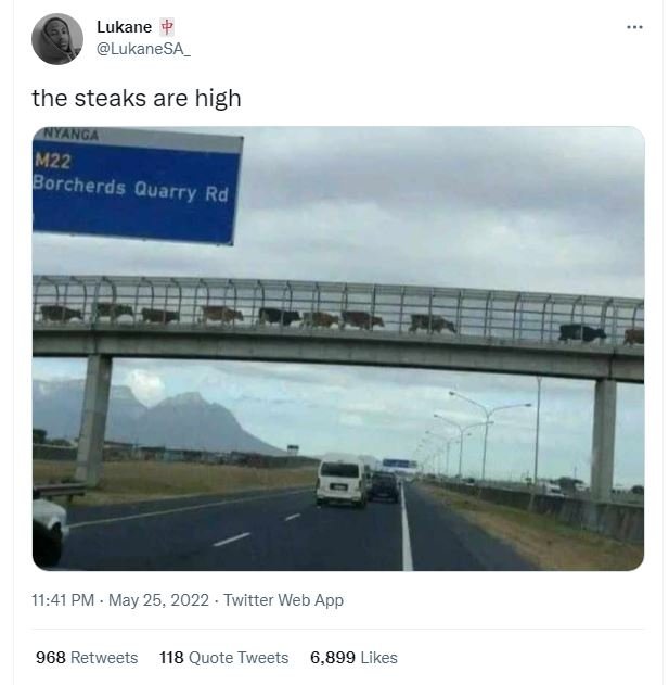 Lukane lukanesa the steaks are high anga m22 borcherds quarry rd 11.41 pm . may