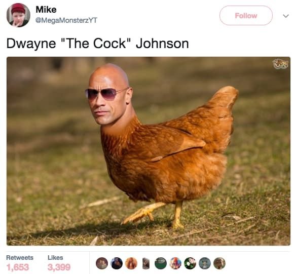 Mike megamonsterzyt follow dwayne the cock' johnson retweets 1,653 ukes 8,088