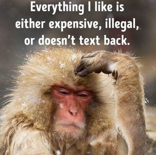 Everything like is either expensive, illegal, or doesn't text back.