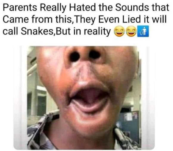 Parents Really Hated the Sounds that Came from this, They Even Lied it will call