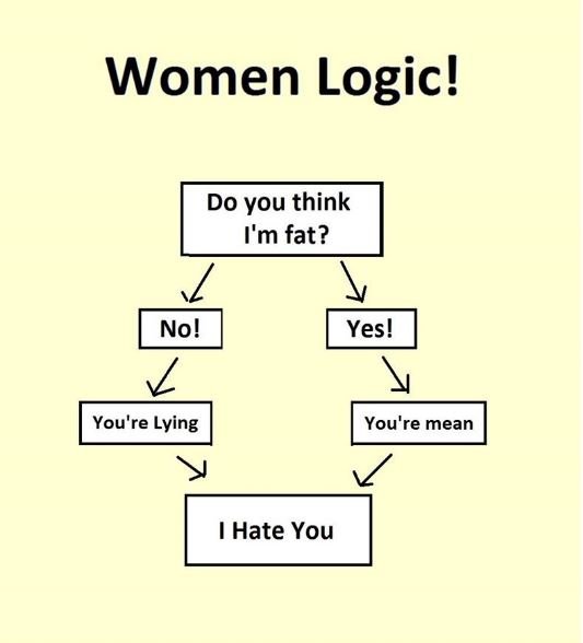 Women logic! do you think i'm fat? no! yes! you're lying you're mean hate you