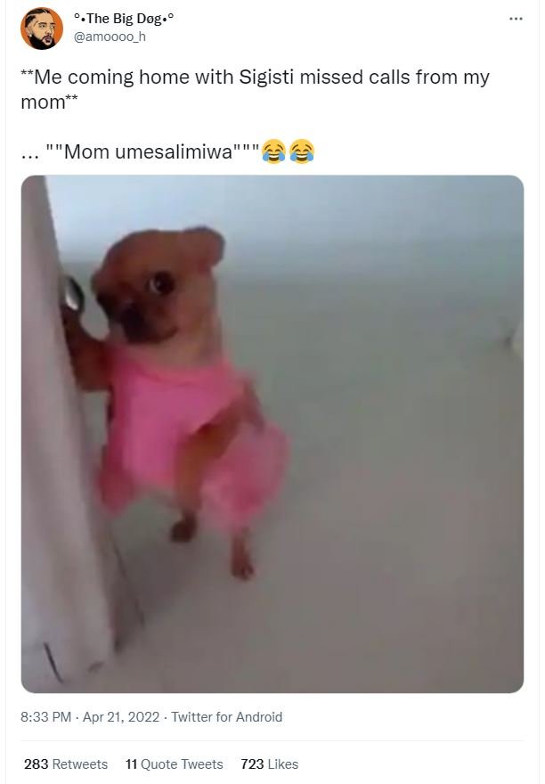 The big dog amoooo 'me coming home with sigisti missed calls from my mom mom ume