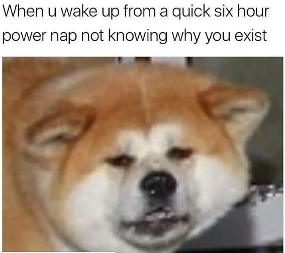 When u wake up from a quick six hour power nap not knowing why you exist