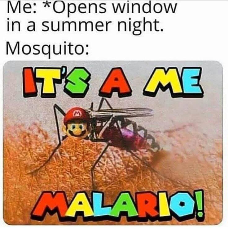 Me opens window in a summer night. mosquito 078 a me calaqioq