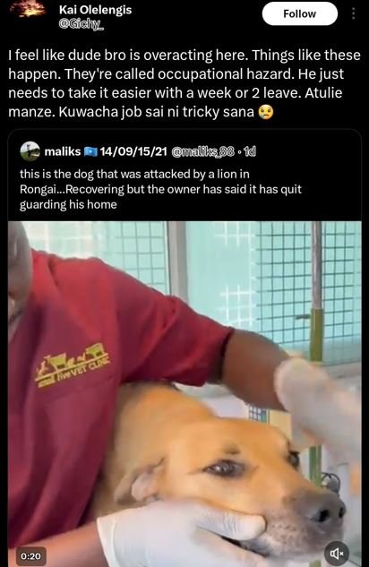 Kai olelengis gidhz follow feel like dude bro is overacting here. things like th