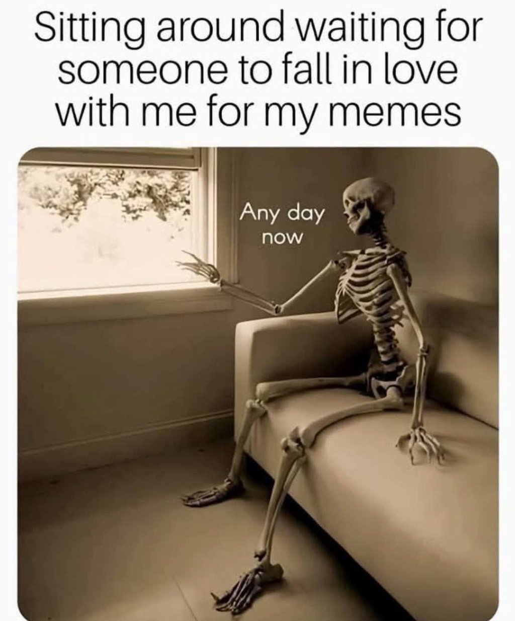 Sitting around waiting for someone to fall in love with me for my memes any day
