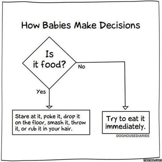 How babies make decisions is it food? no yes stare at it , poke it, drop it on t
