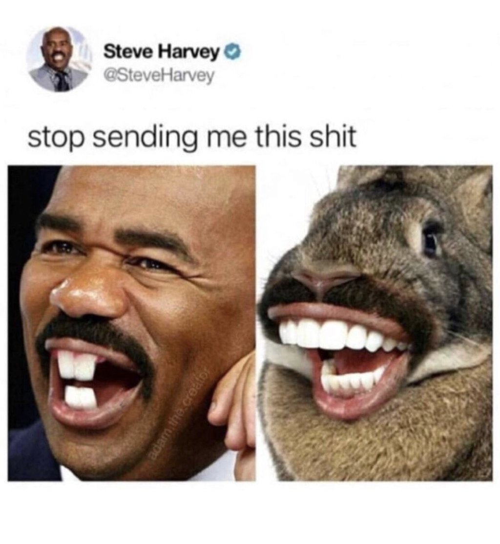 Steve harvey steveharvey stop sending me this shit e 8 1