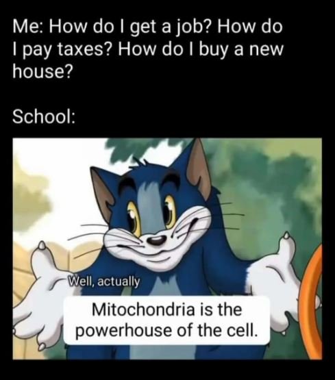 Me how do get a job? how do 1 pay taxes? how do buy a new house? school well, ac