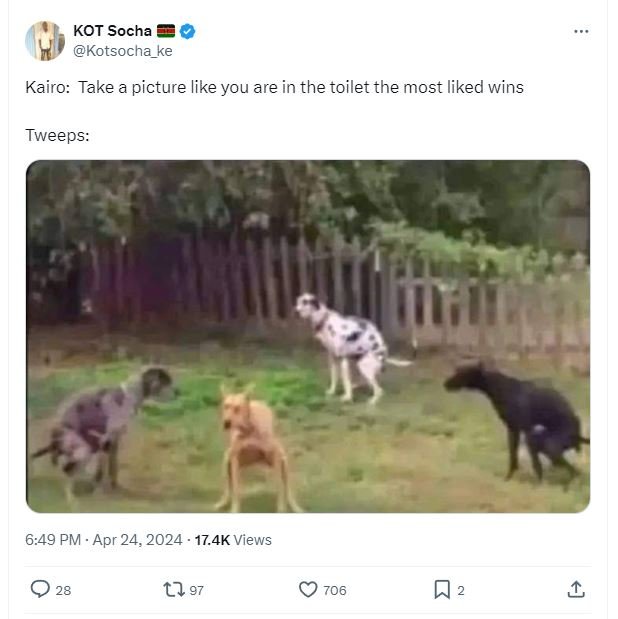 Kot socha kotsocha_ke kairo take a picture like you are in the toilet the most l