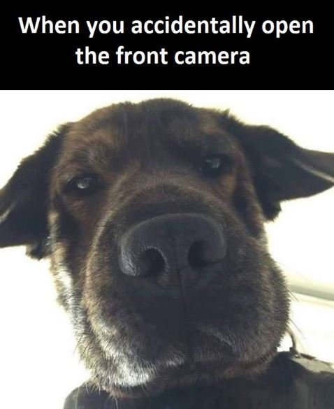 When you accidentally open the front camera