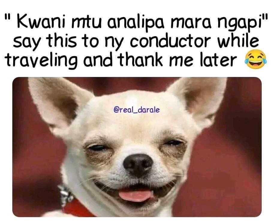 I kwani mtu analipa mara ngapi say this to ny conductor while traveling and than