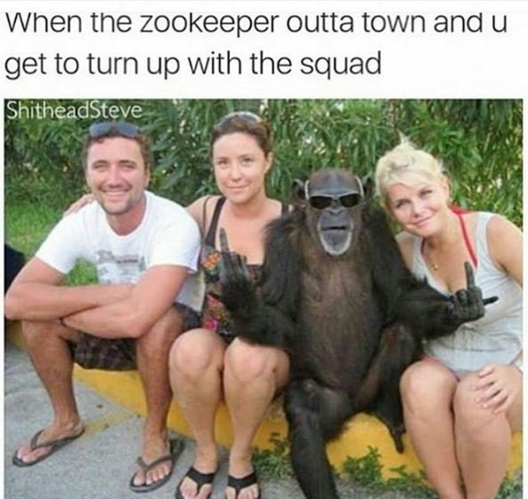 When the zookeeper outta town and u iget to turn up with the squad shitheadsteve