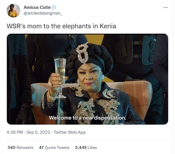 Amicus cutie wickedskengman _ wsr's mom to the elephants in kenia welcome toa ne