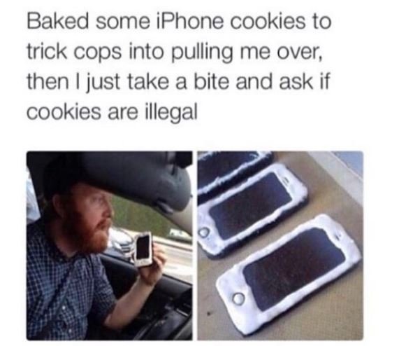 Baked some iphone cookies to trick cops into pulling me over then just take a bi
