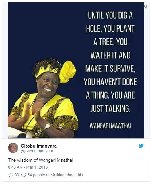 Until you dig a hole, you plant a tree, you water it and make it survive, you ha