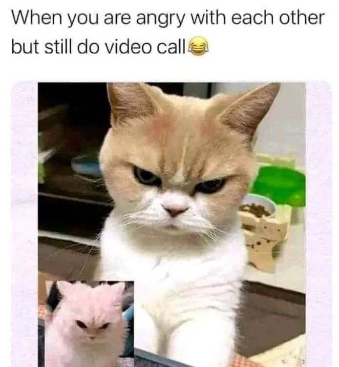 When you are angry with each other but still do video call