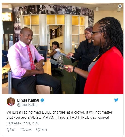 Linus kaikai linuskaikai when a raging mad bull charges at a crowd it will not m