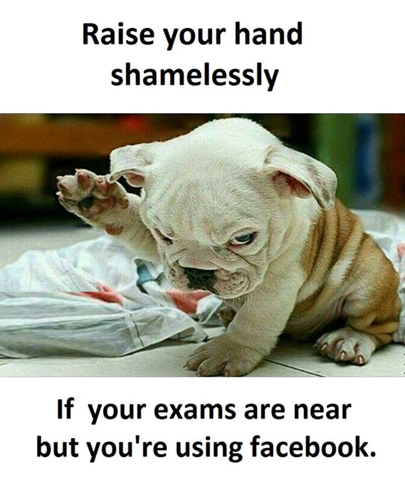 Raise your hand shamelessly if your exams are near but you're using facebook.