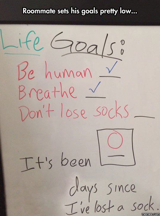 Roommate sets his goals pretty low. life evals be human breathe don' lose socks