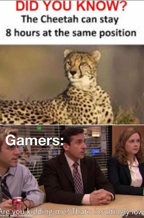 Did you know? the cheetah can stay 8 hours at the same position gamers ire worer