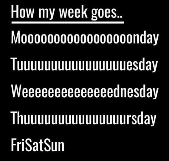 How my week goes _ mooooooooooooooooonday tuuuuuuuuuuuuuuuuesday weeeeeeeeeeeeee