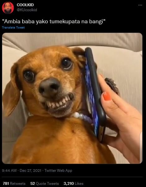 COOLKID KUcoolkid Ambia baba yako tumekupata na bangi Tranalate Twvee 9,44 AM De