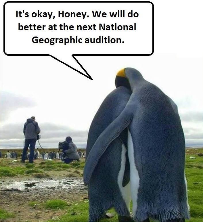It's okay, honey. we will do better at the next national geographic audition.
