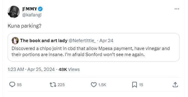 J'mmy kafangi kuna parking? the book and art lady nefertittie apr 24 discovered