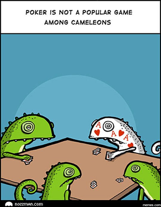 Poker is not a poplar game among cameleons nozzman com memes com
