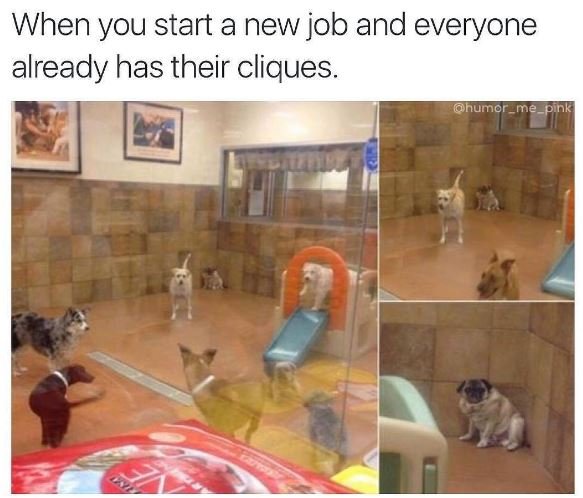 When you start a new job and everyone already has their cliques. ghumor