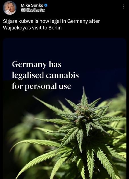 Mike sonko mkosonko sigara kubwa is now legal in germany after wajackoya's visit