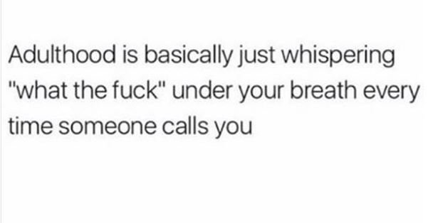 Adulthood is basically just whispering what the fuck under your breath every tim