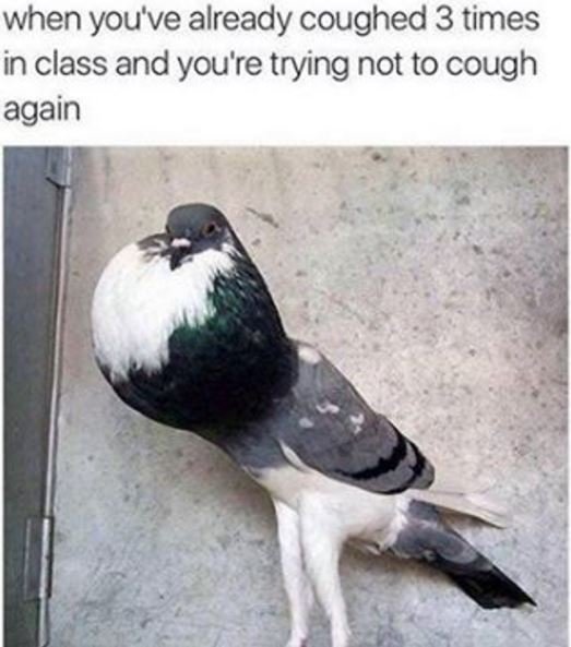 When you've already coughed 3 times in class and you're trying not to cough agai