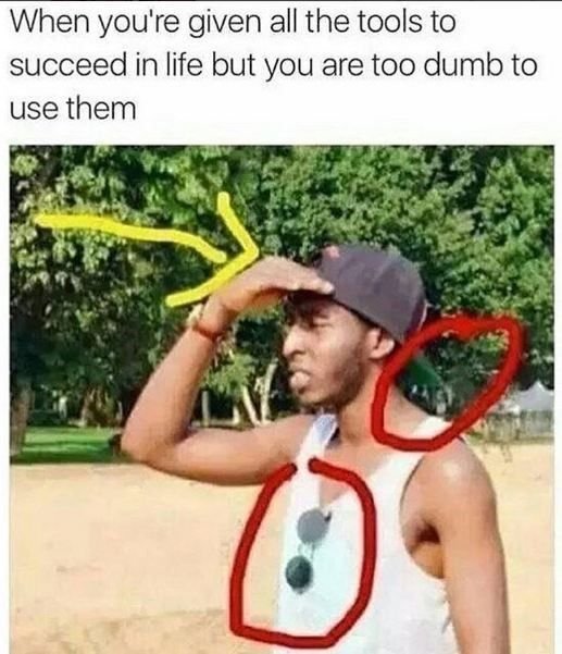 When you're given all the tools to succeed in life but you are too dumb to use t