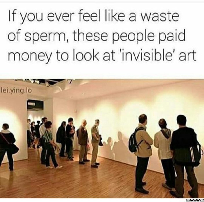 If you ever feel like a waste of sperm these people paid money to look at 'invis