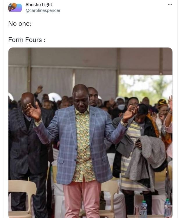 Shosho light carolinespencer no one form fours