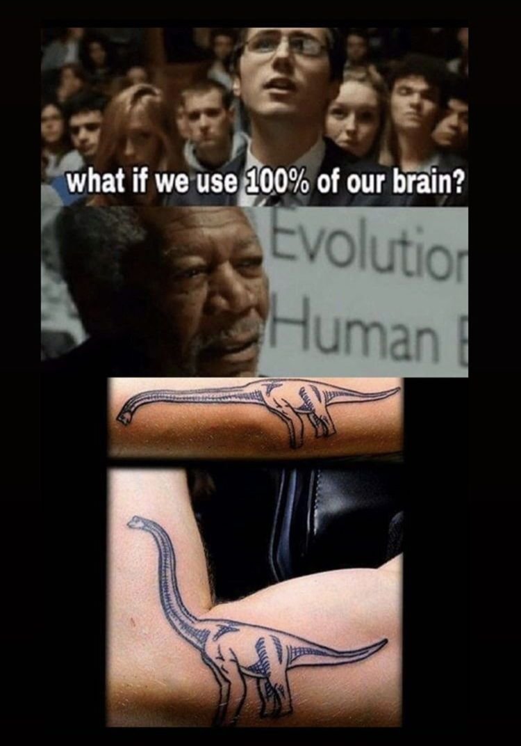 What if we use 200 of our brain? evolutiol human
