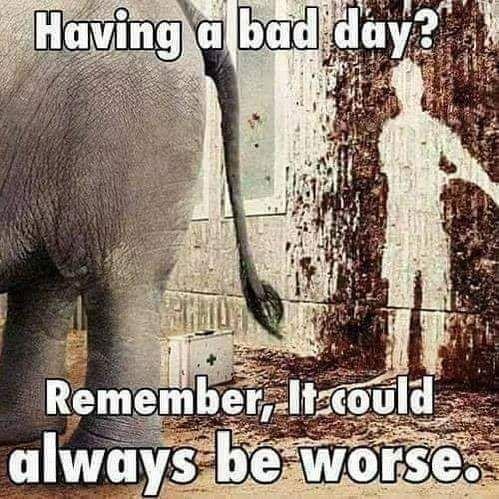 Havfing bad day? remember itcould always dr worse