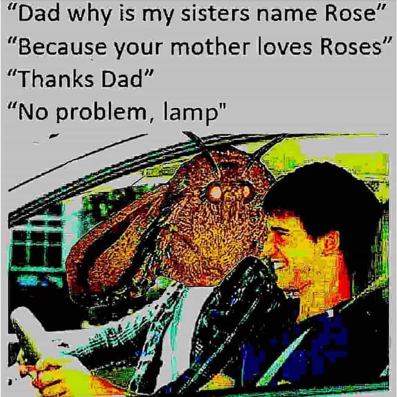 Dad why is my sisters name rose v because your mother loves roses' thanks dad no