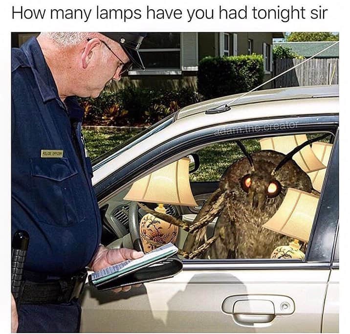 How many lamps have you had tonight sir gfesex