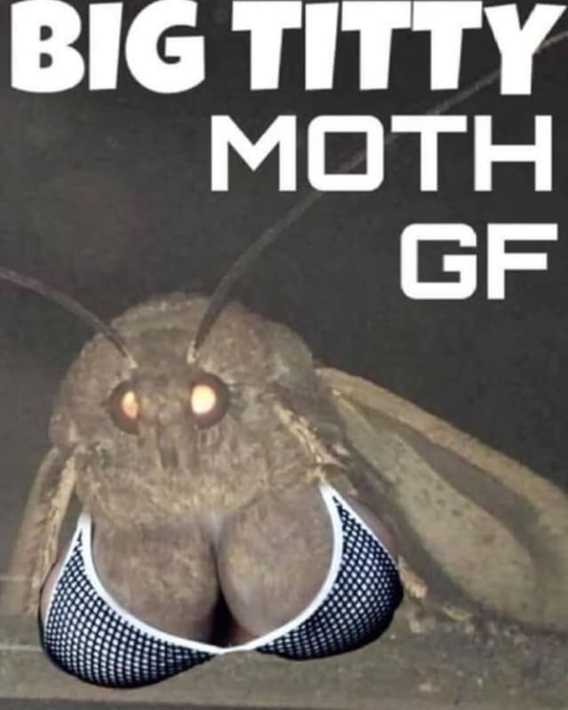 Bluly moth gf