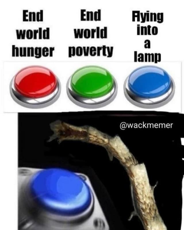 End end aying world world into a hunger poverty lamp wackmemer