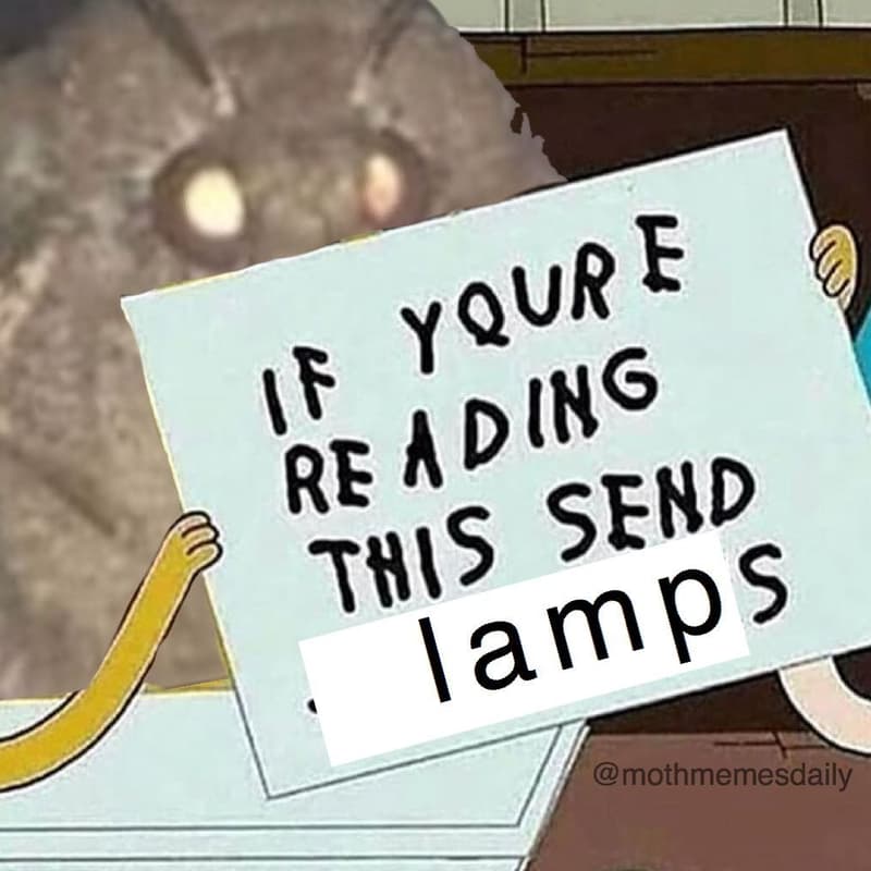 Yqur f 1 f ading re send this iamps mothmemesdaily