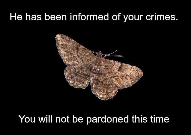 He has been informed of your crimes_ you will not be pardoned this time